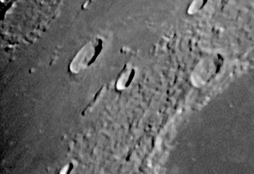 Il cratere Harpalus il 02/04/2004 - Somma di 108 frames su 400 Vesta Pro - C9 1/4 + barlow 2x