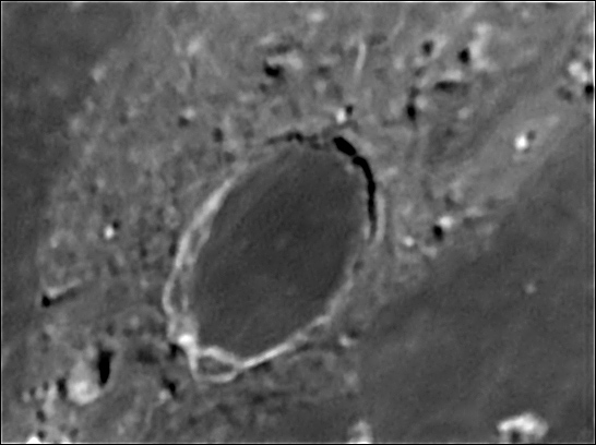Il cratere Plato il 19/05/2005 - Somma di 200 frames su 1100 Vesta Pro - C9 1/4 + barlow Televue 3x