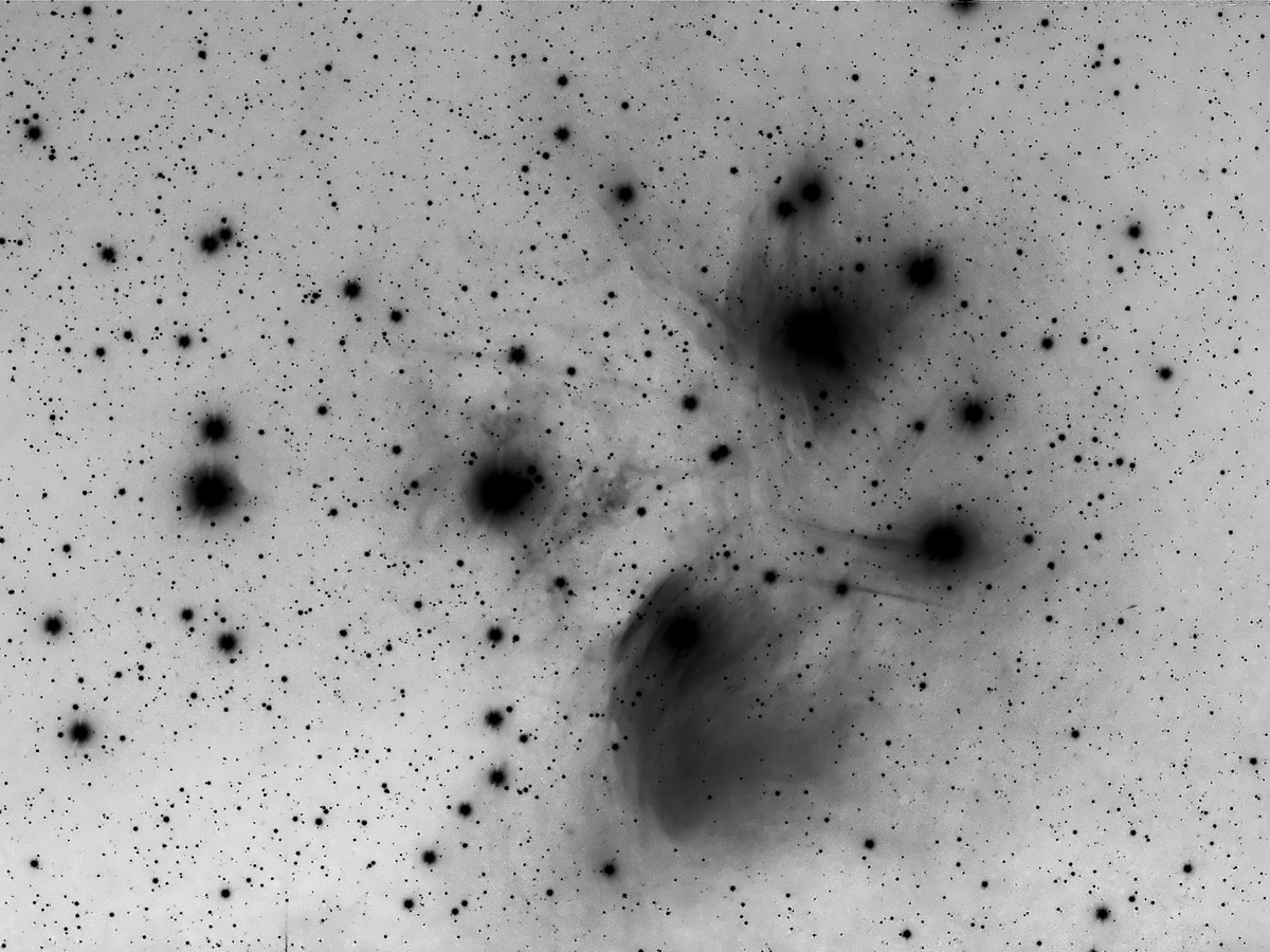 L'ammasso delle Pleiadi (M45) nel Toro