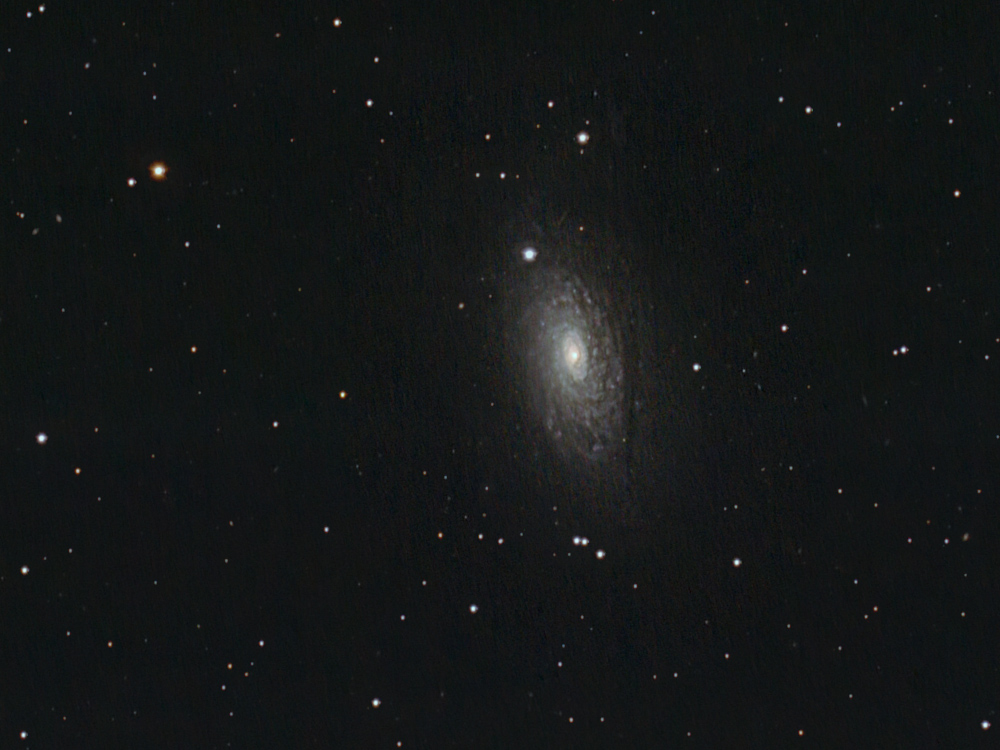 La galassia M63 nei Cani da Caccia