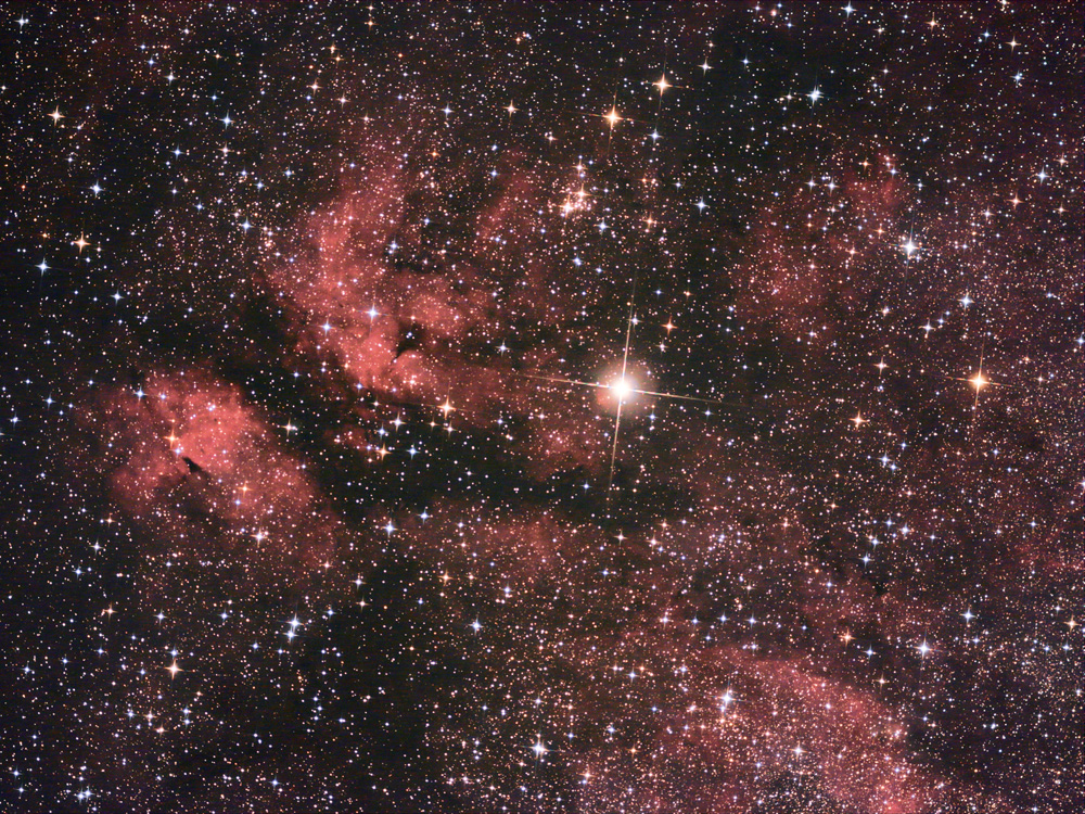 Il complesso nebulare IC 1318 nel Cigno
