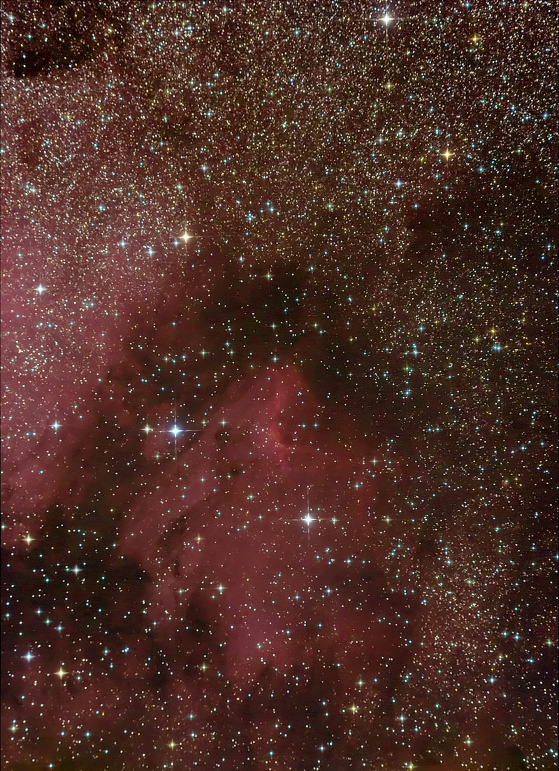 La nebulosa Pellicano (IC 5070) nel Cigno