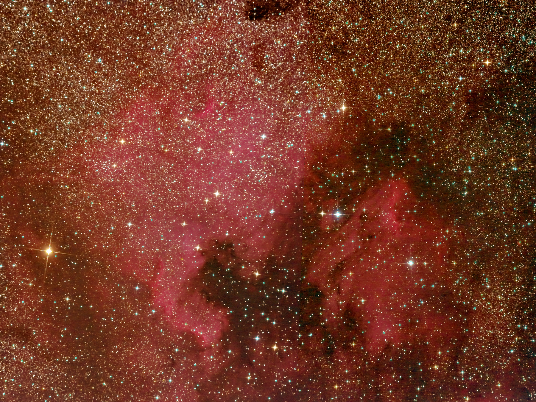 Le nebulose Nord America (NGC 7000) e Pellicano (IC5067)  nel Cigno