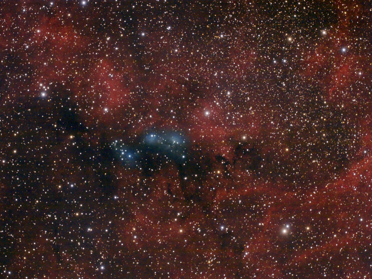 Nebulosa Ngc 6914 nel Cigno