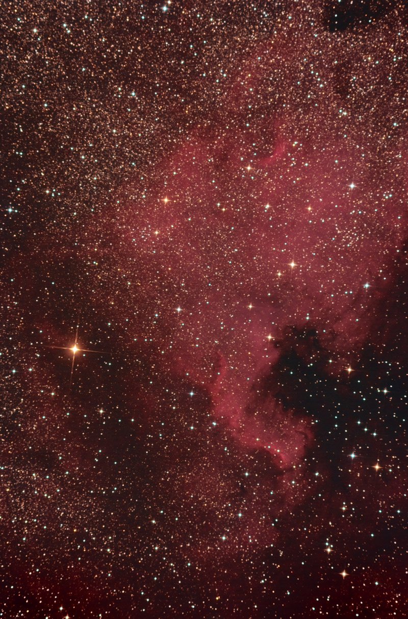 La nebulosa Nord America (NGC 7000) nel Cigno