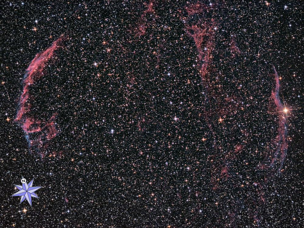Il complesso nebulare Velo nel Cigno