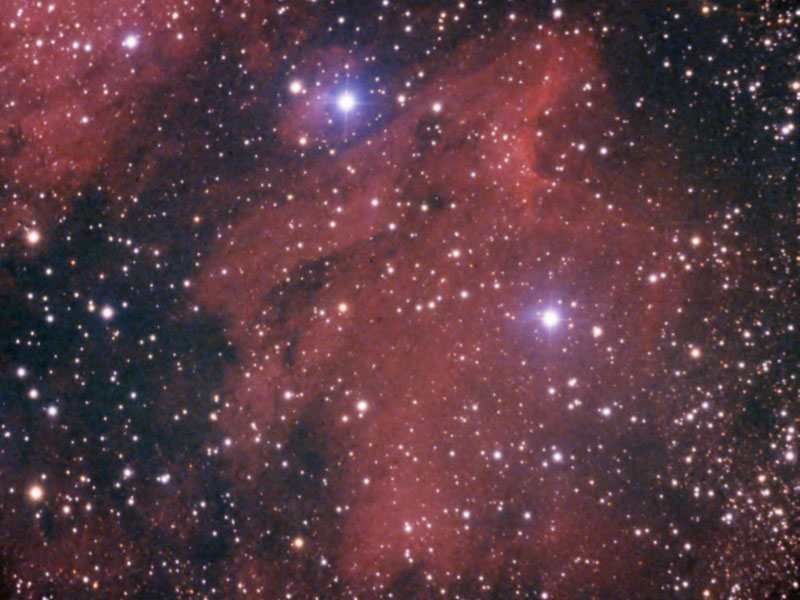 Nebulosa Pellicano