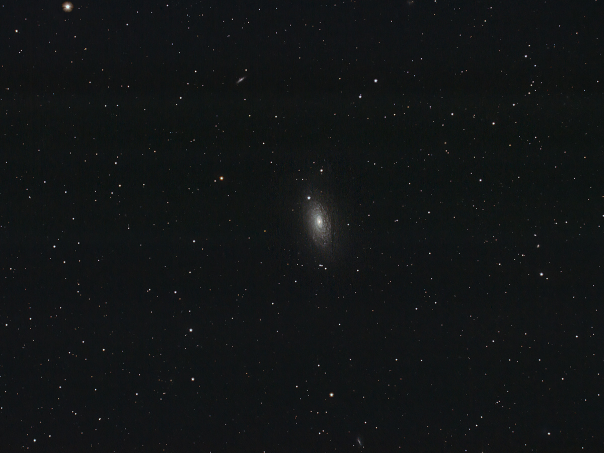 La galassia M63 nei Cani da Caccia