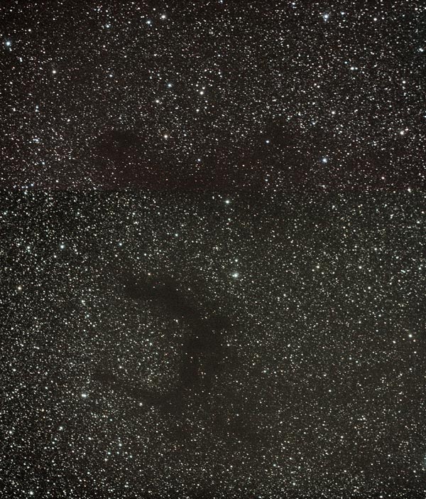 Nebulose oscure nell'Aquila