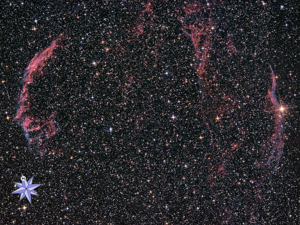 Il complesso nebulare Velo nel Cigno