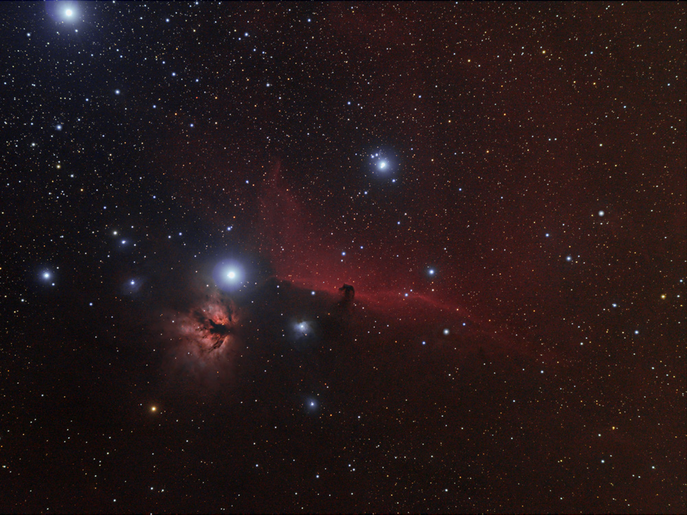 Nebulose Testa di Cavallo e Fiamma