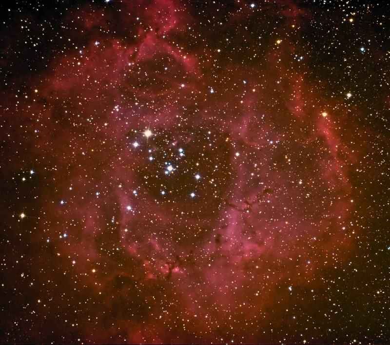 La nebulosa Rosetta nell'Unicorno