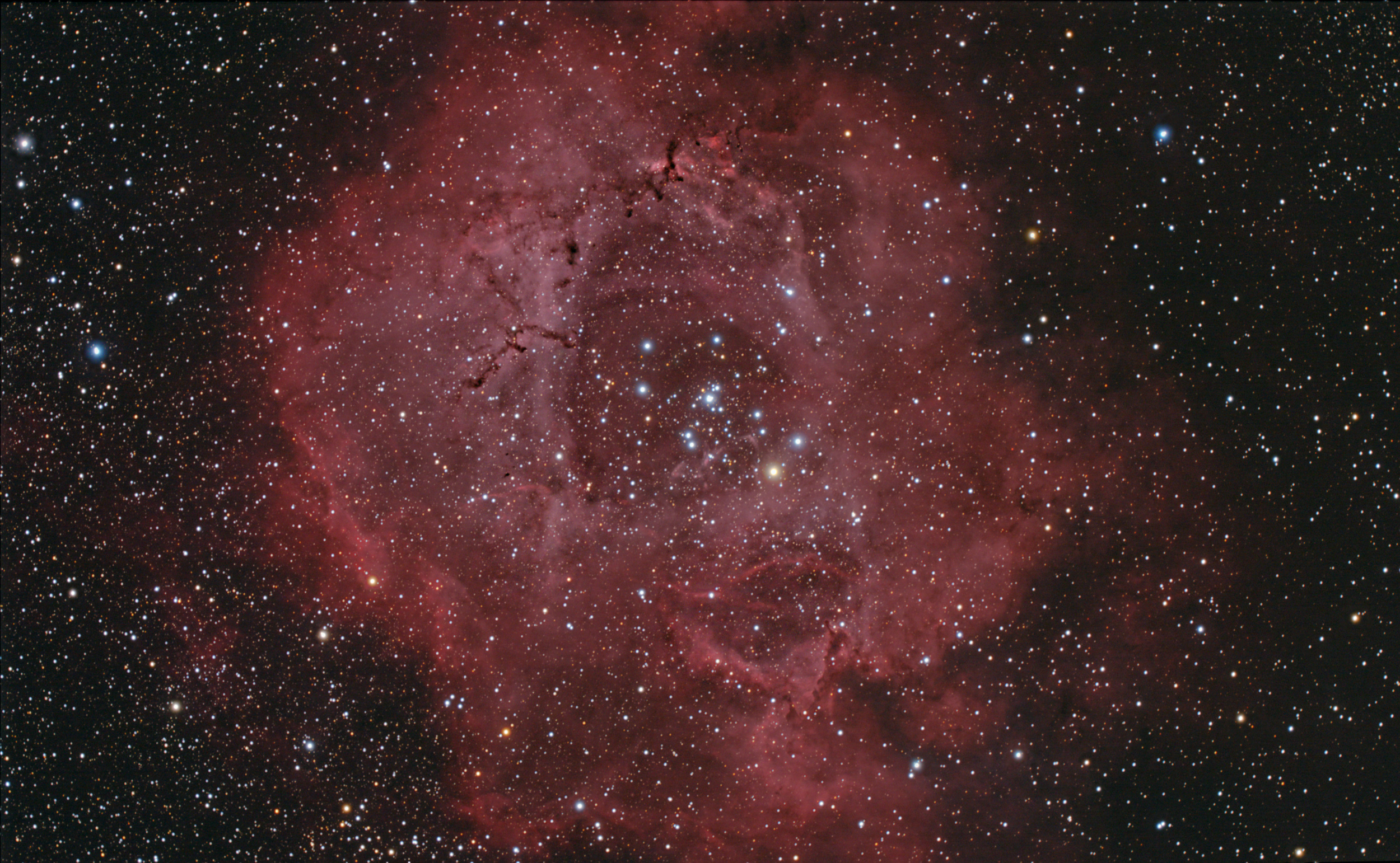 La nebulosa Rosetta nell'Unicorno
