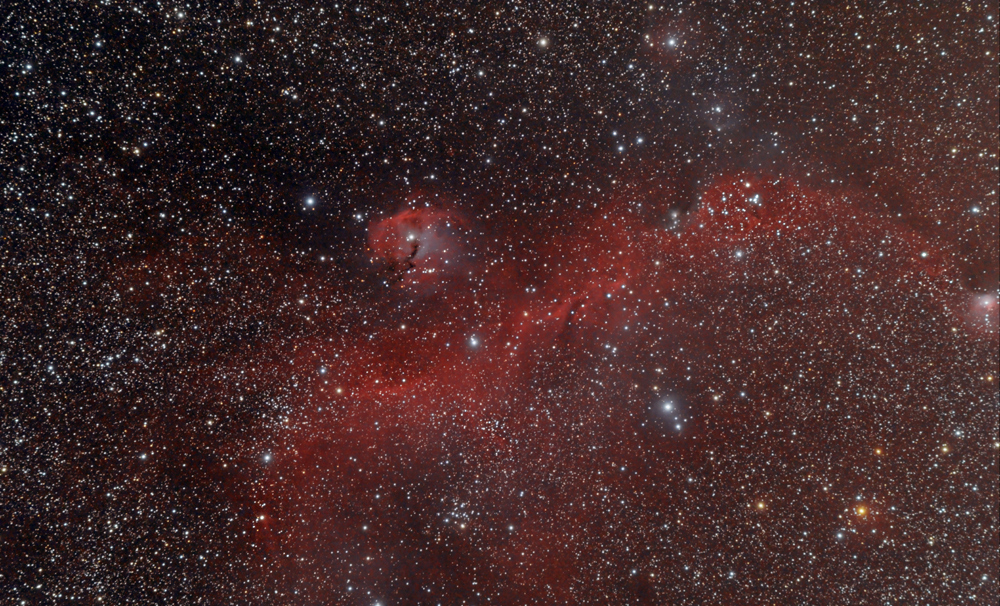 Nebulose Testa di Cavallo e Fiamma