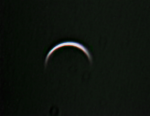 Venere il 29 maggio 2004 - 16:04 TU - Vesta Pro 200 su 1800 frames - C9 1/4